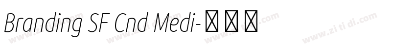 Branding SF Cnd Medi字体转换